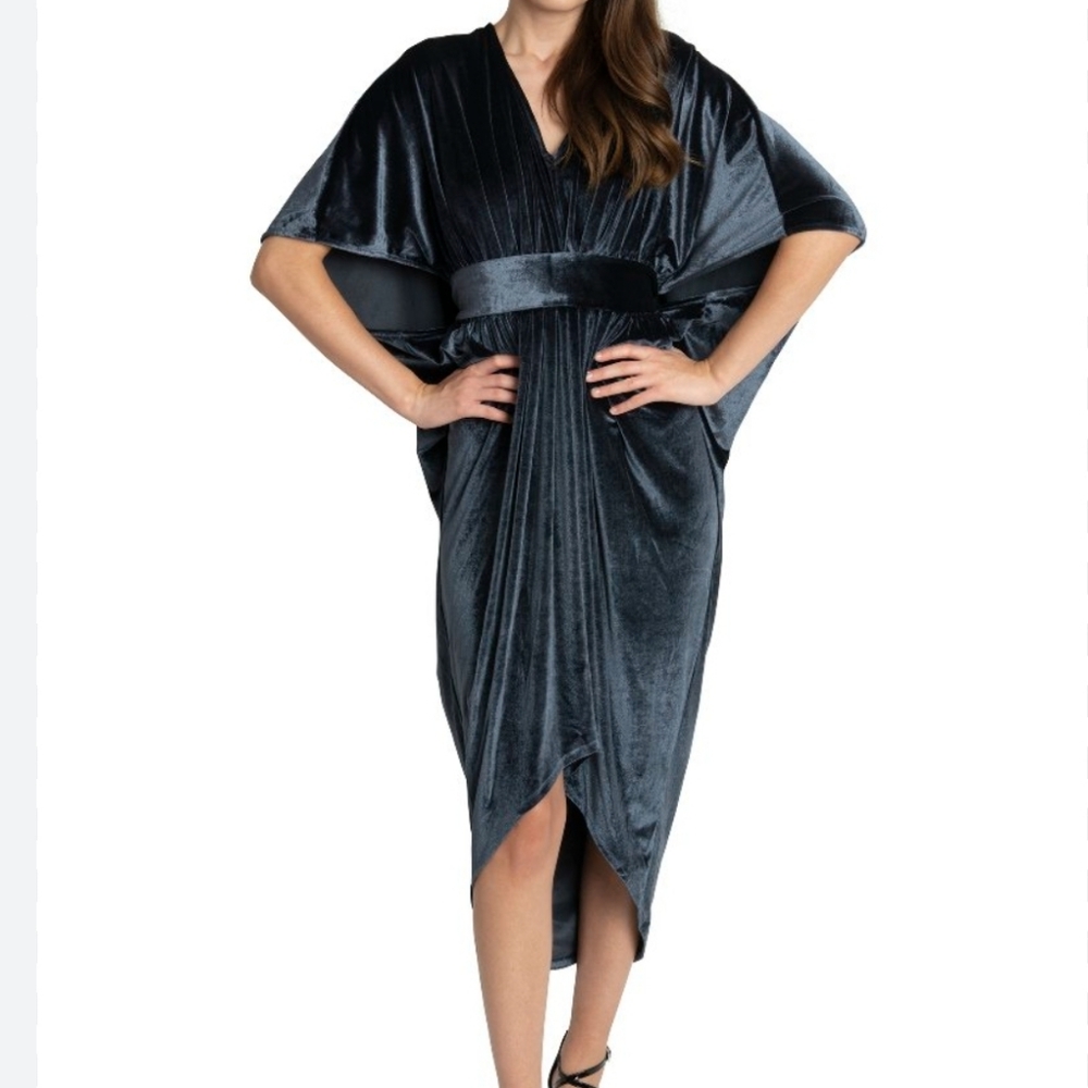 coldesina velvet dress